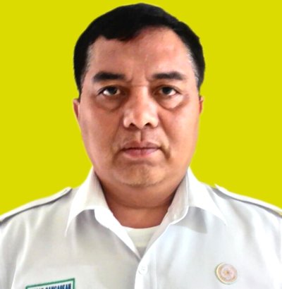 Ir. Manat Panggabean
